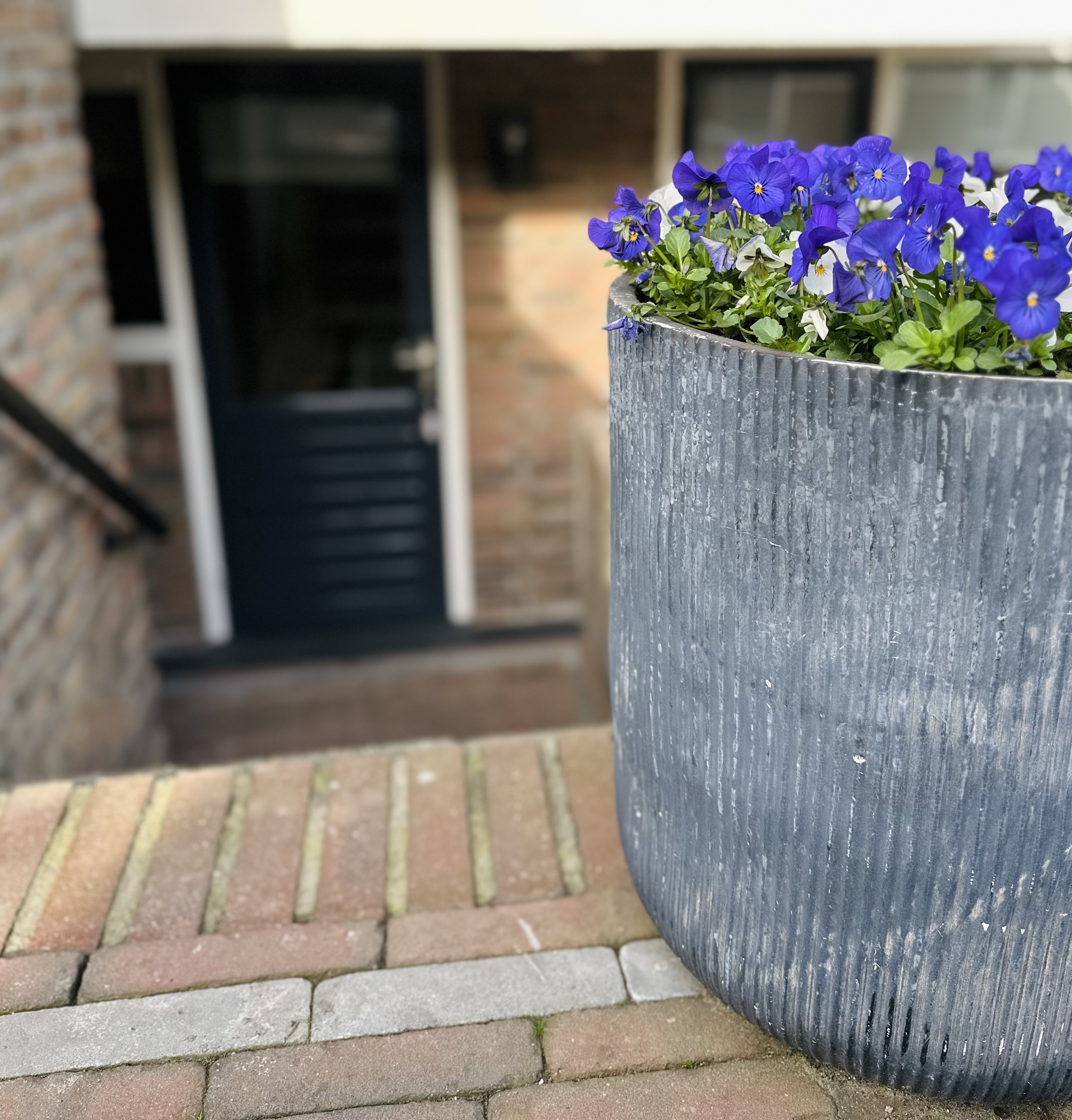 Genieten in Katwijk aan Zee